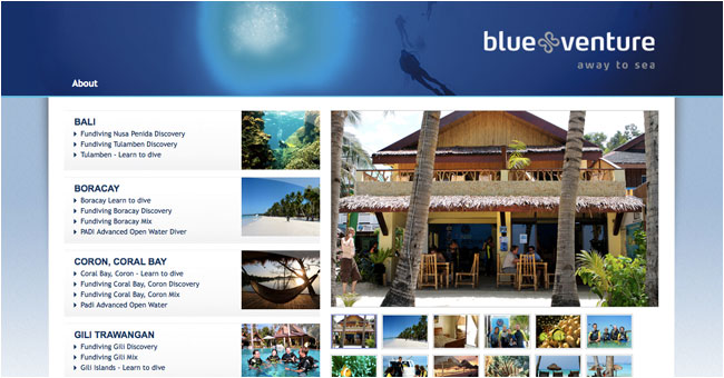 REWORKS website for Blue Venture 2010